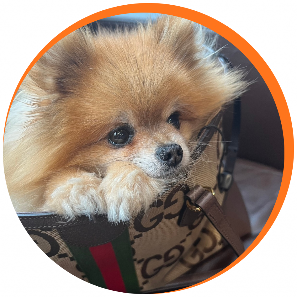 Chiropractor at Battersea & Chelsea Chiropractic delivering expert spinal adjustments and posture correction in our Battersea Power Station clinic, SW London.